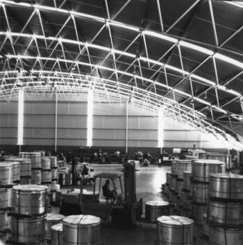 Northcote Decoration Plant